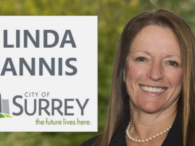 linda-annis-campaign