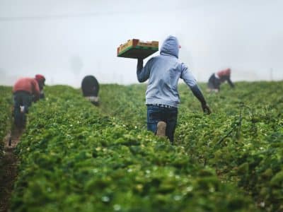 surrey-farmworker-women