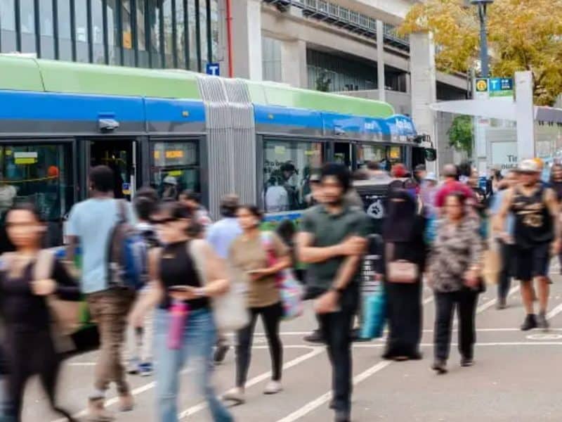 translink-bus-routes