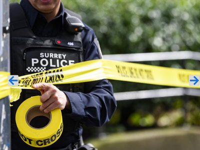 surrey-police-cases